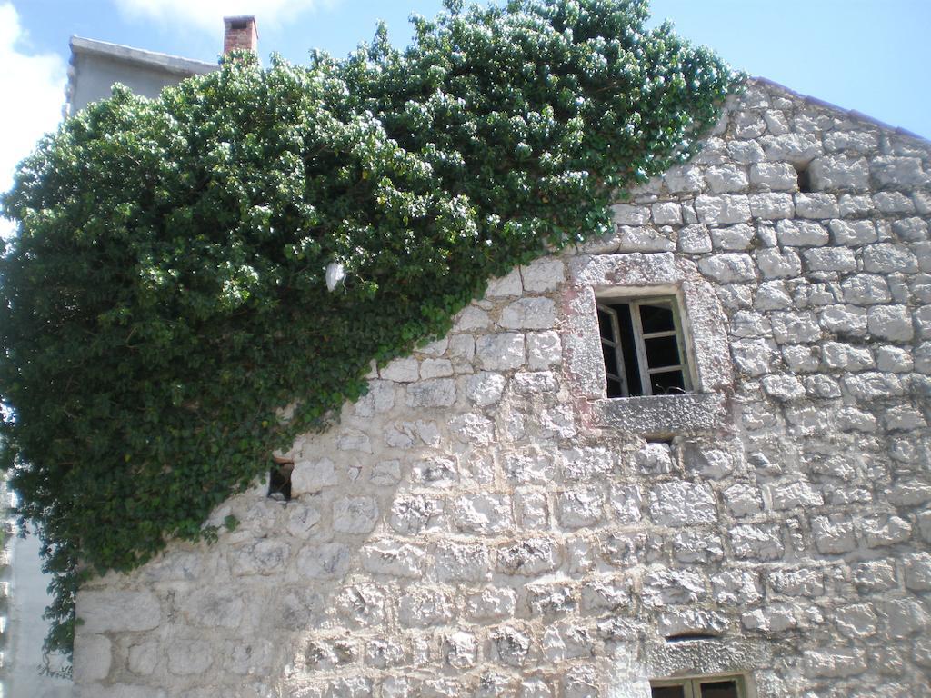 Villa Lidija Budva Quarto foto