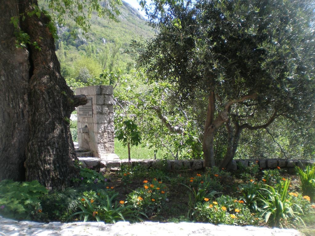Villa Lidija Budva Quarto foto