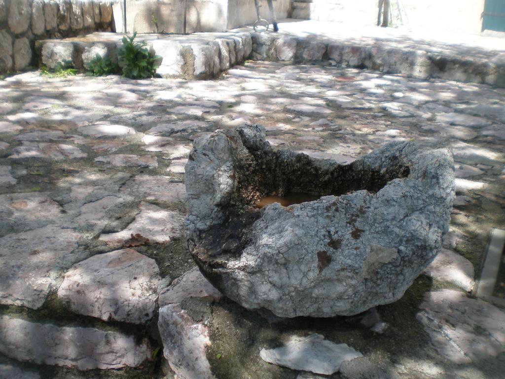 Villa Lidija Budva Quarto foto